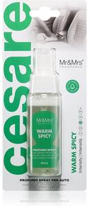 Mr & Mrs Fragrance Cesare Warm Spicy osviežovač vzduchu do auta 50 ml