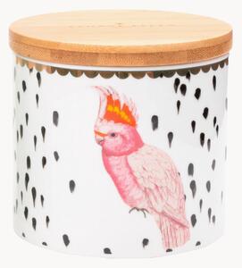 Úložná dóza z jemného kostného porcelánu Parrot