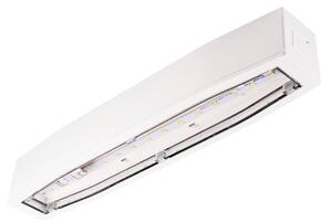 Biele prisadené protipanické osvetlenie autotest 6W IP54 – LED núdzové a protipanické osvetlenie