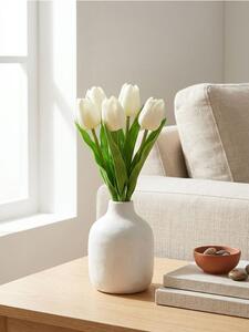 Sinsay - Okrasná rastlina – tulipány - krémová