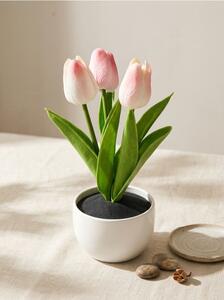 Sinsay - Dekoratívne tulipány v kvetináči - ružová