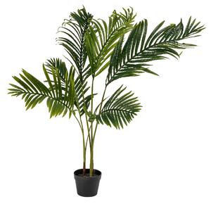 LIVARNO home Umelá rastlina (palma) (100370807)
