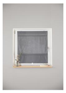 Livarno home Sťahovacia roleta na okno, 80 x 160 cm (sivá) (100370838)