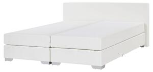 Manželská posteľ Boxspring 160 cm PREMIER (s matracmi) (biela). Vlastná spoľahlivá doprava až k Vám domov. 1007428