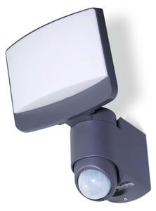 Lutec 7625601345 LED vonkajší nástenný reflektor so senzorom Sunshine 1x17W | 5000K | IP44 - s nastaviteľnou hlavou