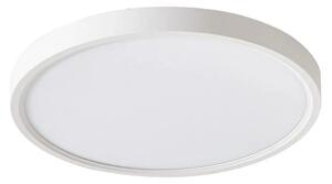 Lindby - Deika LED Stropné Lampa Ø30 Biela
