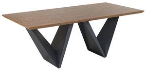Jedálenský stôl Sidon (pre 8 osôb) (tmavé drevo). Vlastná spoľahlivá doprava až k Vám domov. 1010169