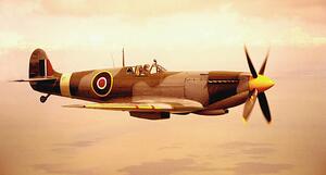 Umelecká fotografie Spitfire aircraft in flight (sepia tone), Michael Dunning, (40 x 22.5 cm)