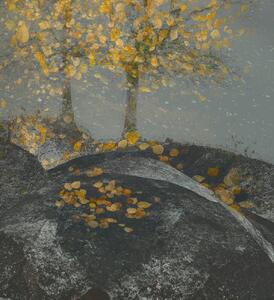 Ilustrácia Falling leaves, Nel Talen, (35 x 40 cm)