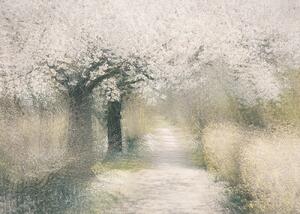 Ilustrácia Cherry blossom, Nel Talen, (40 x 30 cm)