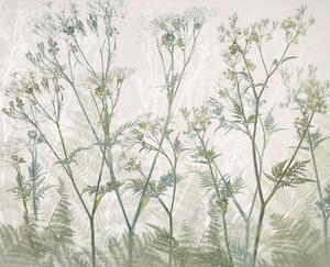 Ilustrácia Cow parsley, Nel Talen, (40 x 35 cm)