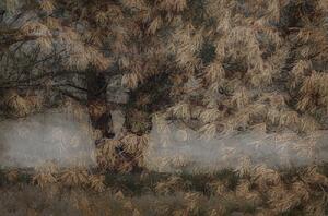 Ilustrácia Pine tree, Nel Talen, (40 x 26.7 cm)