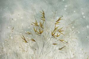 Ilustrácia Wintertime, Nel Talen, (40 x 26.7 cm)
