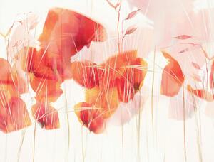 Ilustrácia Modern poppies, Nel Talen, (40 x 30 cm)