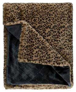 PLÉD, polyester, 130/170 cm Joop! - Textil do domácnosti