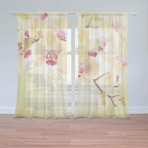 Sablio Záclony Orchidea 2: 2ks 150x250cm