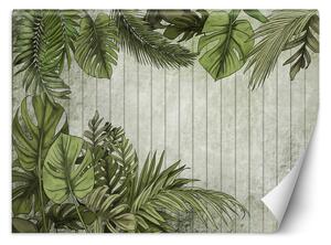 Fototapeta Zelené listy na pozadí z dosiek Materiál: Vliesová, Rozmery: 200 x 140 cm