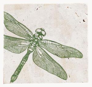 Podložky pod poháre Dragonfly, 4 ks