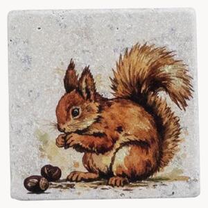Podložky pod poháre Squirrel, 4 ks