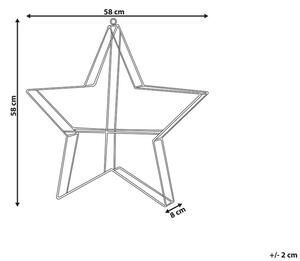 Vonkajšia dekorácia hviezda Kurza (strieborná). Vlastná spoľahlivá doprava až k Vám domov. 1080758