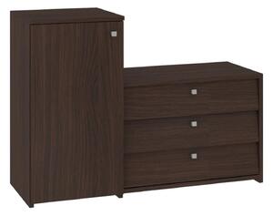 Skrinky na topánky S16 wenge