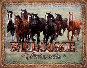 Plechová ceduľa WELCOME - HORSES - Friends, 40 × 31.5 cm