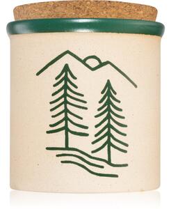 Paddywax Cypress & Fir Dune vonná sviečka green 226 g