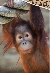 TipTrade Bavlnené obliečky 140x200 + 70x90 cm - Opica Orangutan