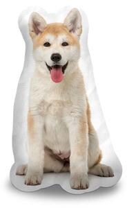 Sablio 3D vankúš Akita Inu 33×50cm
