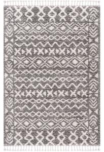 Dekorstudio Shaggy koberec s dlhým vlasom PULPY 514 Rozmer koberca: 120x160cm