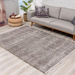 Dekorstudio Shaggy koberec s dlhým vlasom PULPY 524 sivý Rozmer koberca: 120x160cm