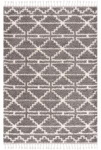 Dekorstudio Shaggy koberec s dlhým vlasom PULPY 530 sivý Rozmer koberca: 120x160cm