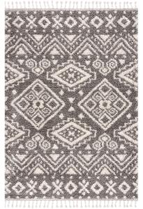 Dekorstudio Shaggy koberec s dlhým vlasom PULPY 541 sivý Rozmer koberca: 100x300cm