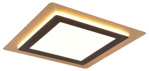 Stropné LED svietidlo MORGAN 1 zlatá/čierna
