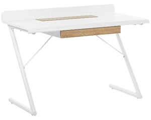 Písací stôl biela svetlé drevo MDF kov 120 x 60 cm obdĺžnikový tvar zásuvka skrinka moderný škandinávsky štýl kancelária
