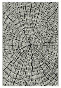 Koberec KOLIBRI 4 sivé drevo, 120x170 cm