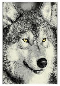 Koberec KOLIBRI 5 vlk sivý, 133x190 cm
