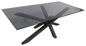 KONFERENČNÝ STOLÍK, sivá, čierna, kov, sklo, 120/60/45 cm Xora - Stolíky do obývačky