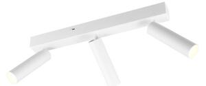 Trio T849210331 LED bodové stropné svietidlo AMBALA integrovaný LED zdroj | 3x500lm | 2300+3000+4000K