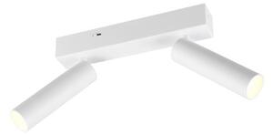 Trio T849210231 LED bodové stropné svietidlo AMBALA integrovaný LED zdroj | 2x500lm | 2300+3000+4000K