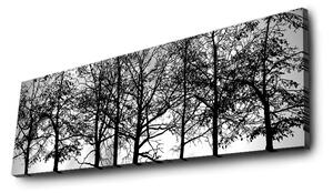 Wallity Obraz s LED osvetlením VETVY STROMOV 72 30 x 90 cm