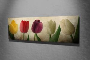 Hanah Home Obraz Tulipány 80x30 cm