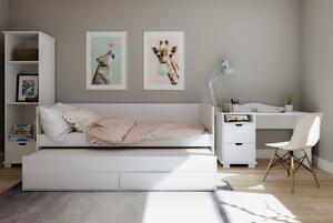 Detská posteľ HOMNES s prístelkou a zásuvkou PW - 200x90 cm