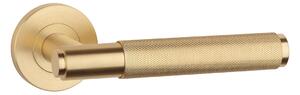 SH - OVAL - R 1741 PRO kľučka/kľučka Zlatá matná