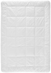 KAZETOVÁ PRIKRÝVKA, 140/200 cm, perie, páperie, borovica limbová Sleeptex - Prikrývky & vankúše