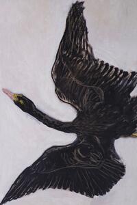 Obrazová reprodukcia The Black Swan (2 of 2) - Hilma af Klint