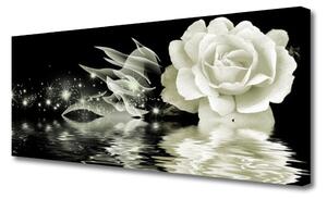 Obraz na plátne Ruže kvet 100x50 cm