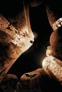 Plagát, Obraz - The Dark Knight Trilogy - Bat Wings, (61 x 91.5 cm)