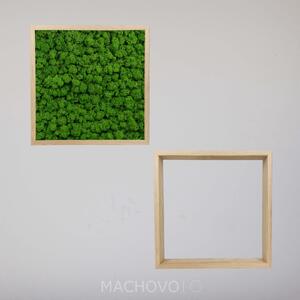 Machovo policová zostava - štvorcová dvojica lišajník
