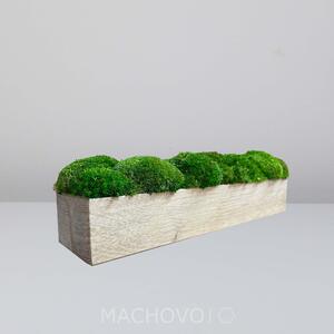 Machová dekorácia na stôl XXL - kopcovitý zelený mach